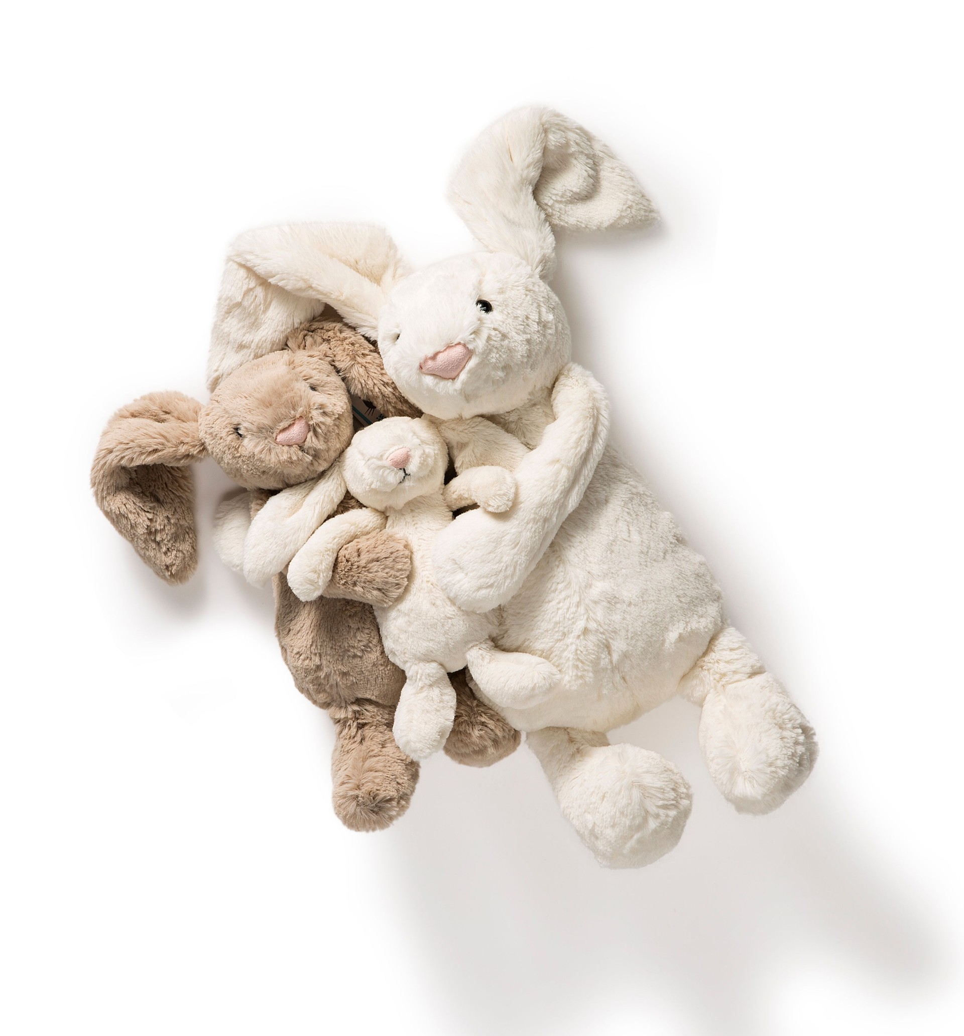 - Bunny Rabbit